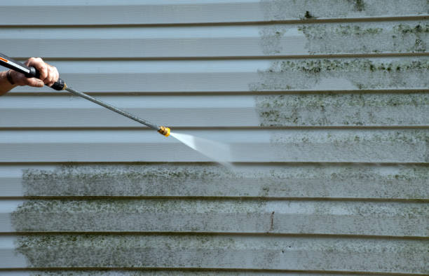 Solar Panel Cleaning in China Spring, TX